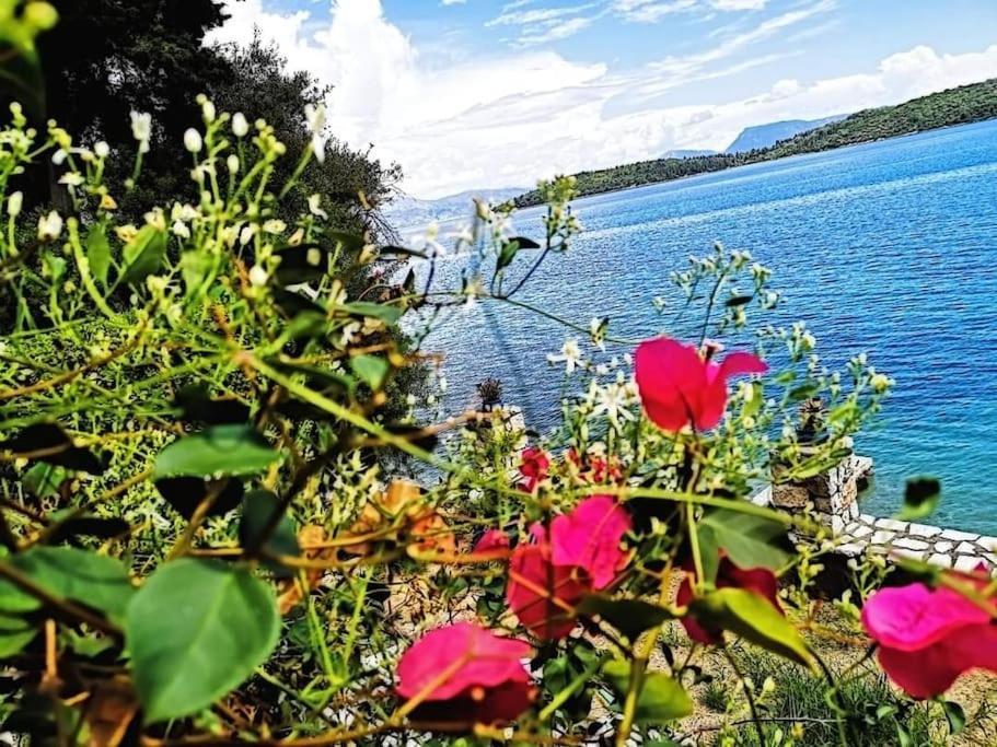 Villa Violeta Lefkada Nydri Exteriér fotografie